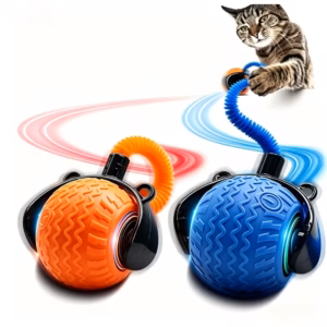 cat0002